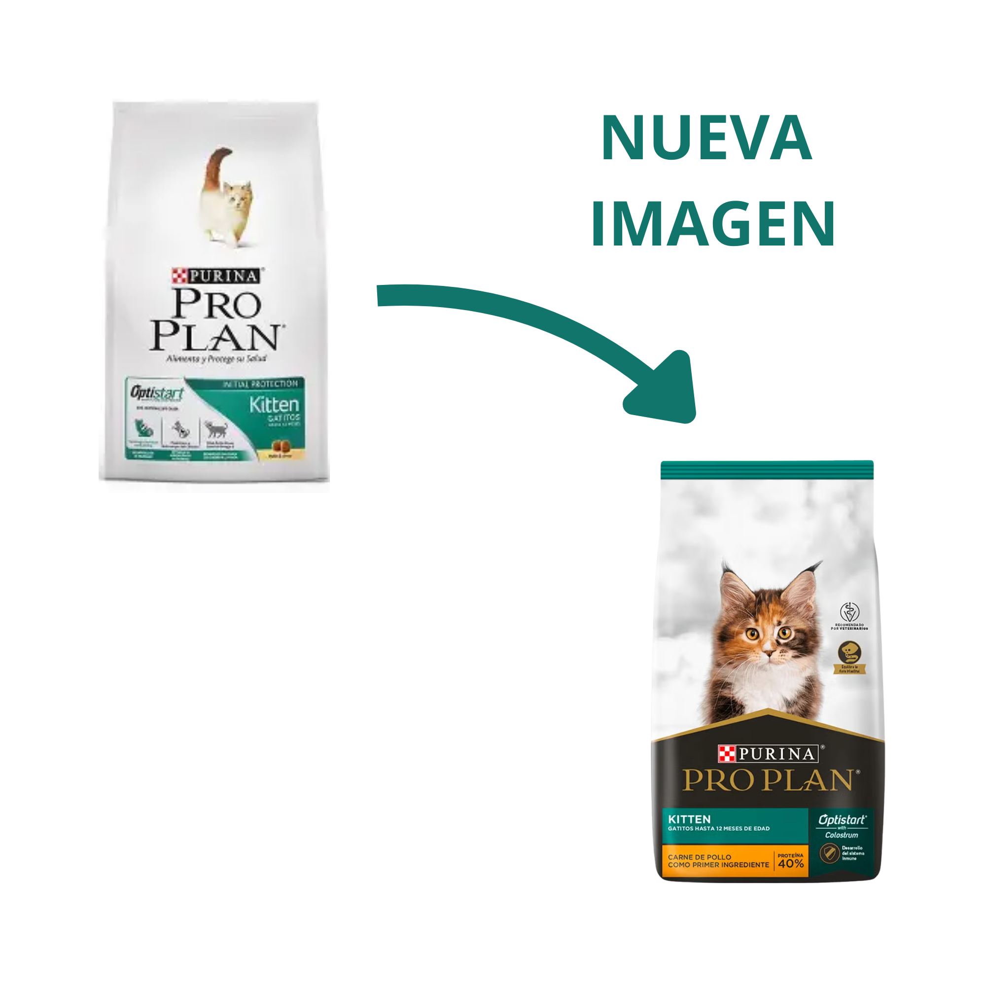 Pro Plan Kitten Optistart alimento seco para gatito