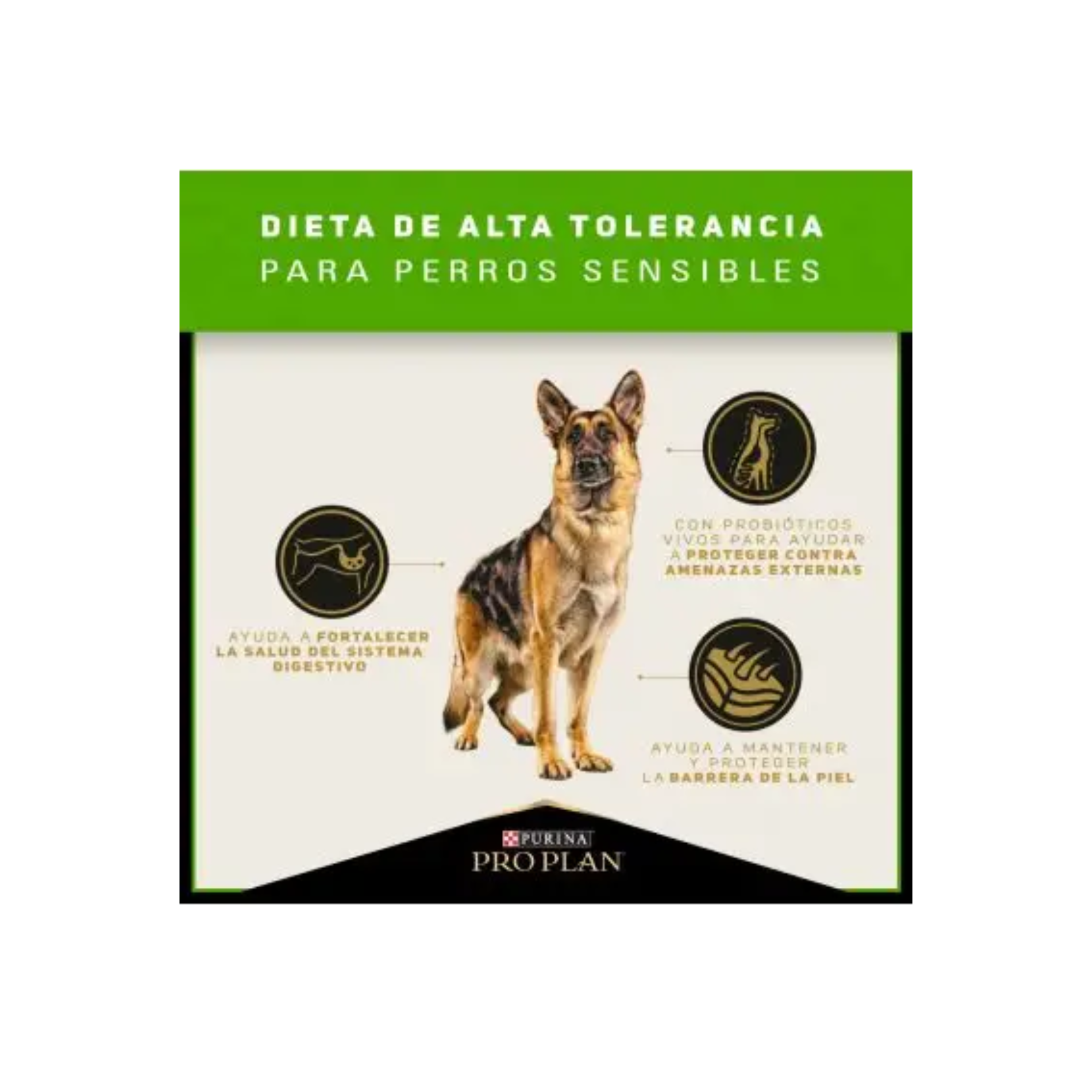 Pro Plan Adulto Sensitive Skin & Stomach Todas las Razas