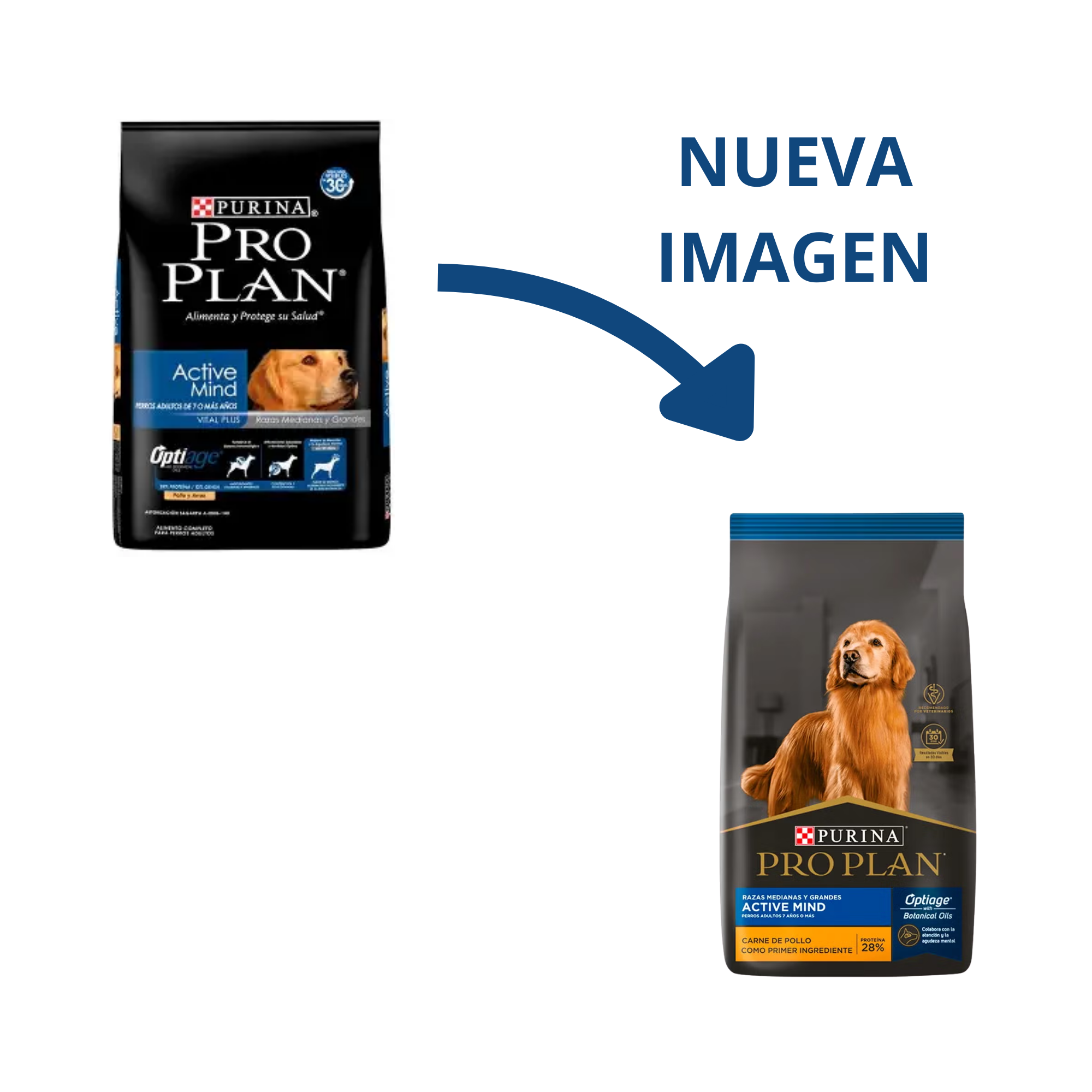 Croquetas Pro Plan Active Mind 7+ perro senior raza mediana y grande
