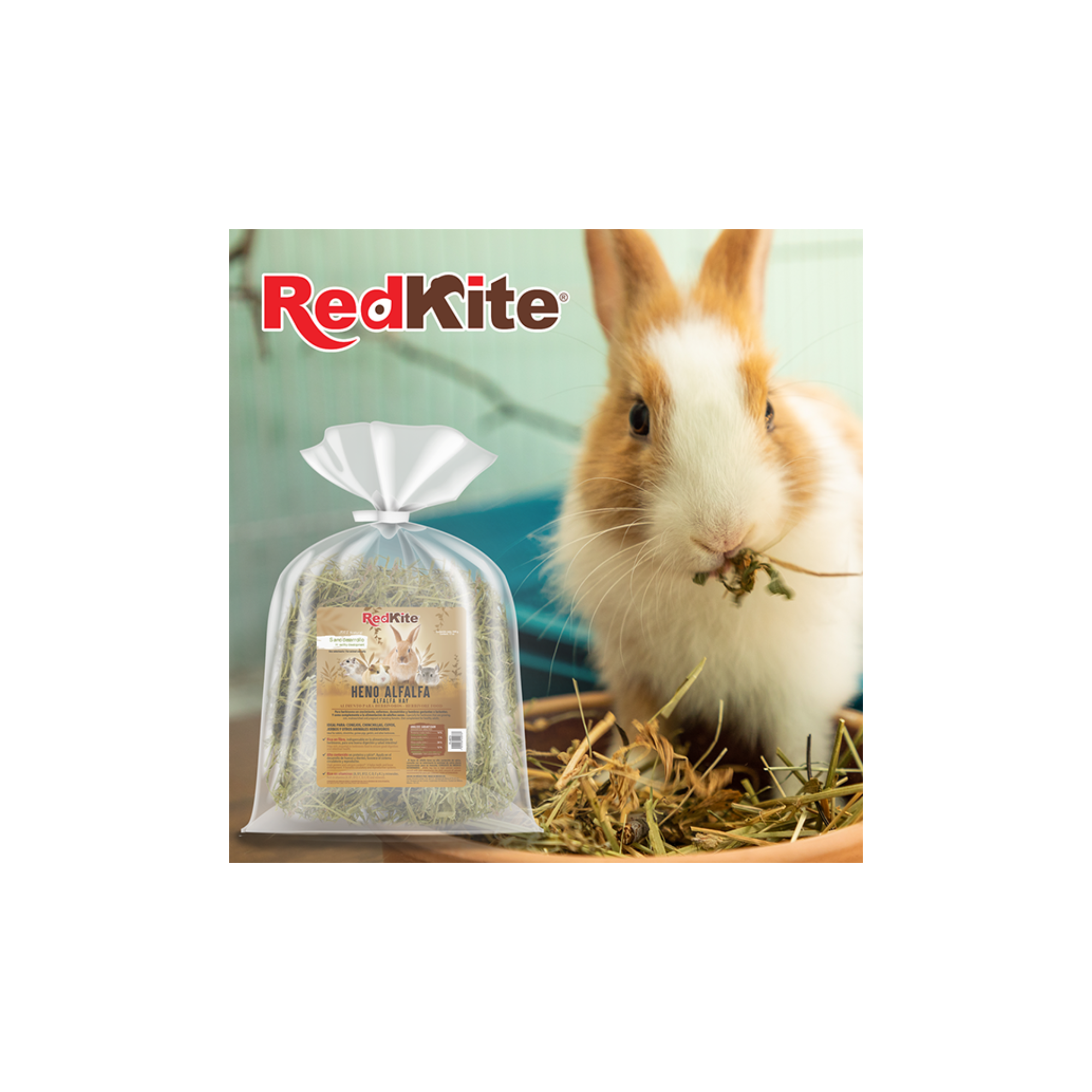 RedKite Heno de Alfalfa para Herbivoros 500 g