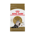 alimento para gato persa
