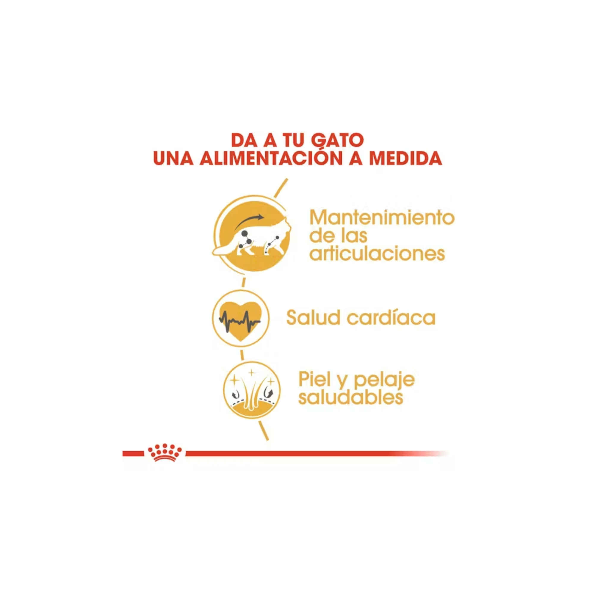 Royal Canin Maine Coon Gato Adulto 2.73 Kg