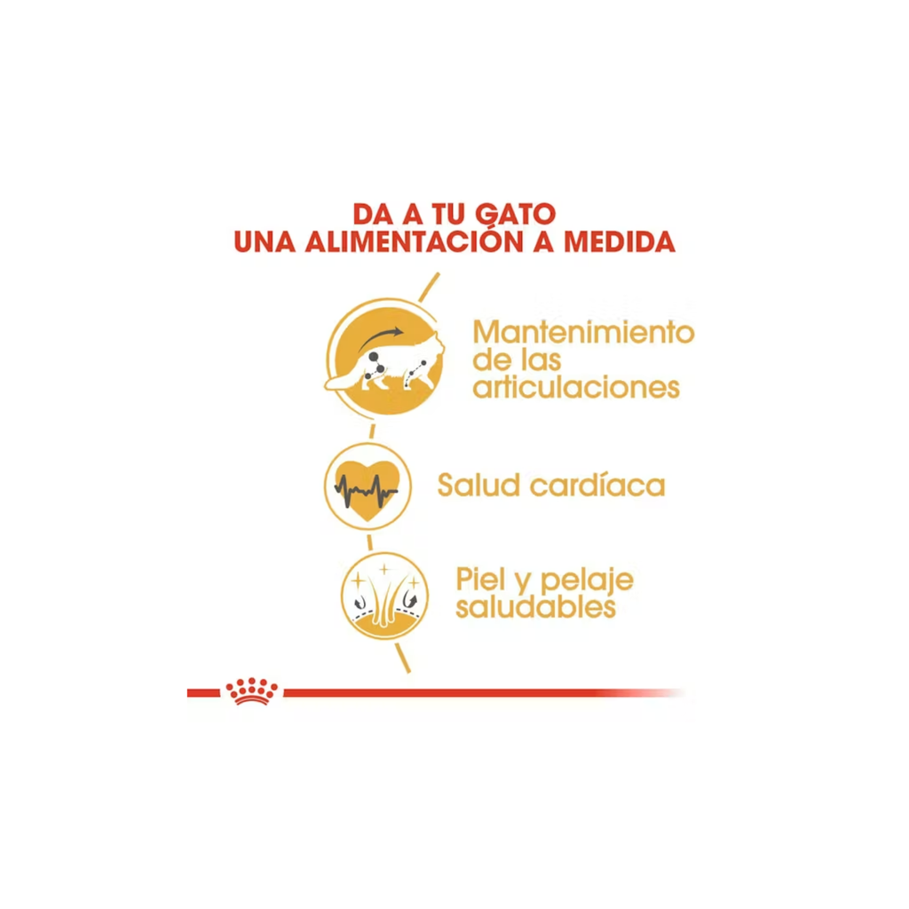 Royal Canin Maine Coon Gato Adulto 6.36 Kg