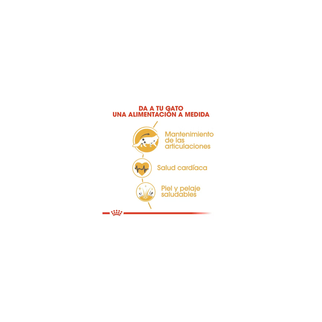 Royal Canin Maine Coon Gato Adulto 2.73 Kg