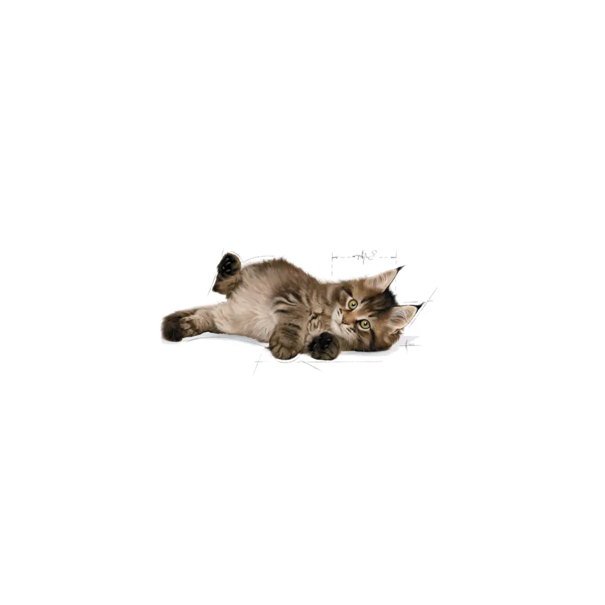 Royal Canin Maine Coon Kitten 1.37 kg