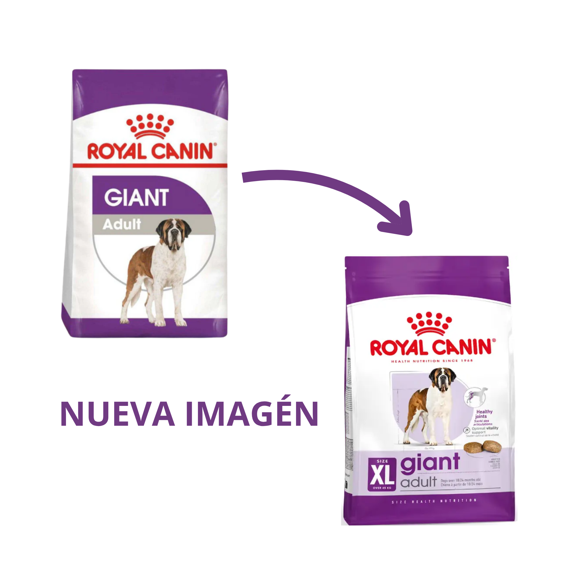 royal canin perros adultos