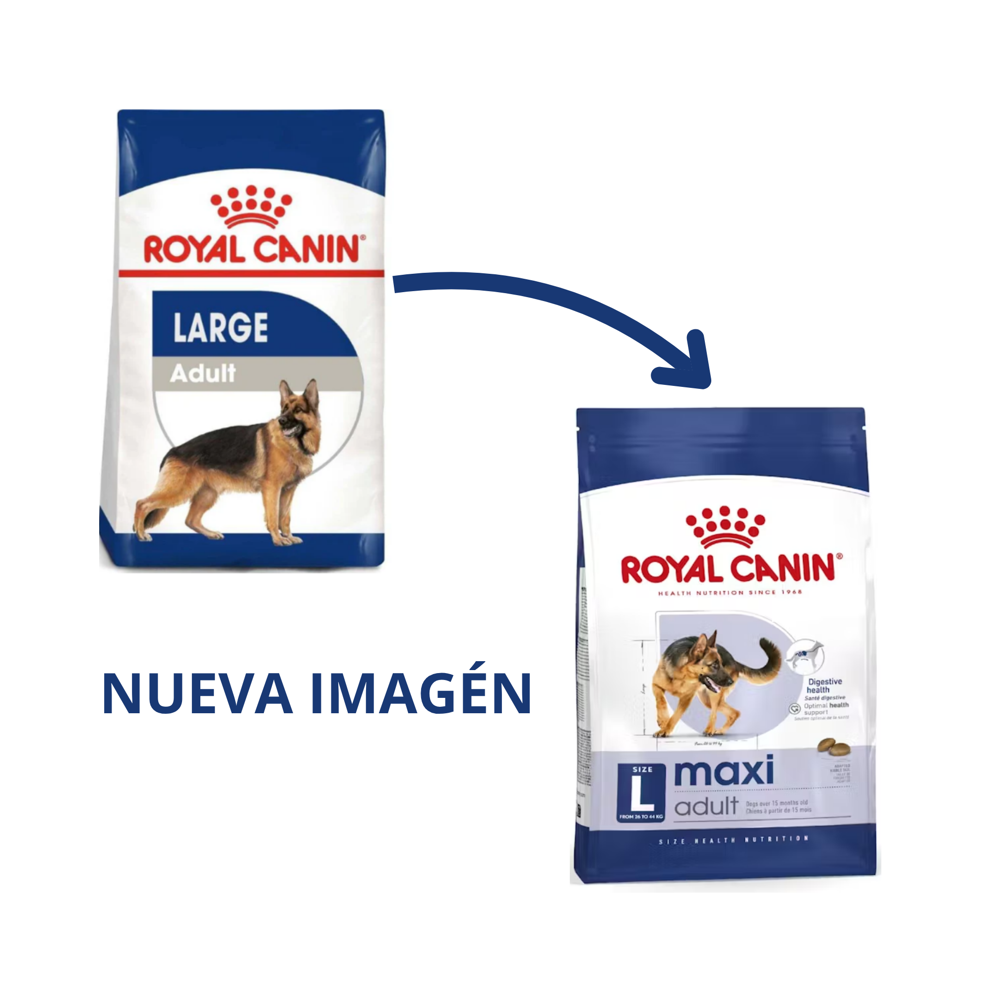 Croquetas Royal Canin Maxi Large Adult para perro adulto de raza grande, bolsa 13.61 kg