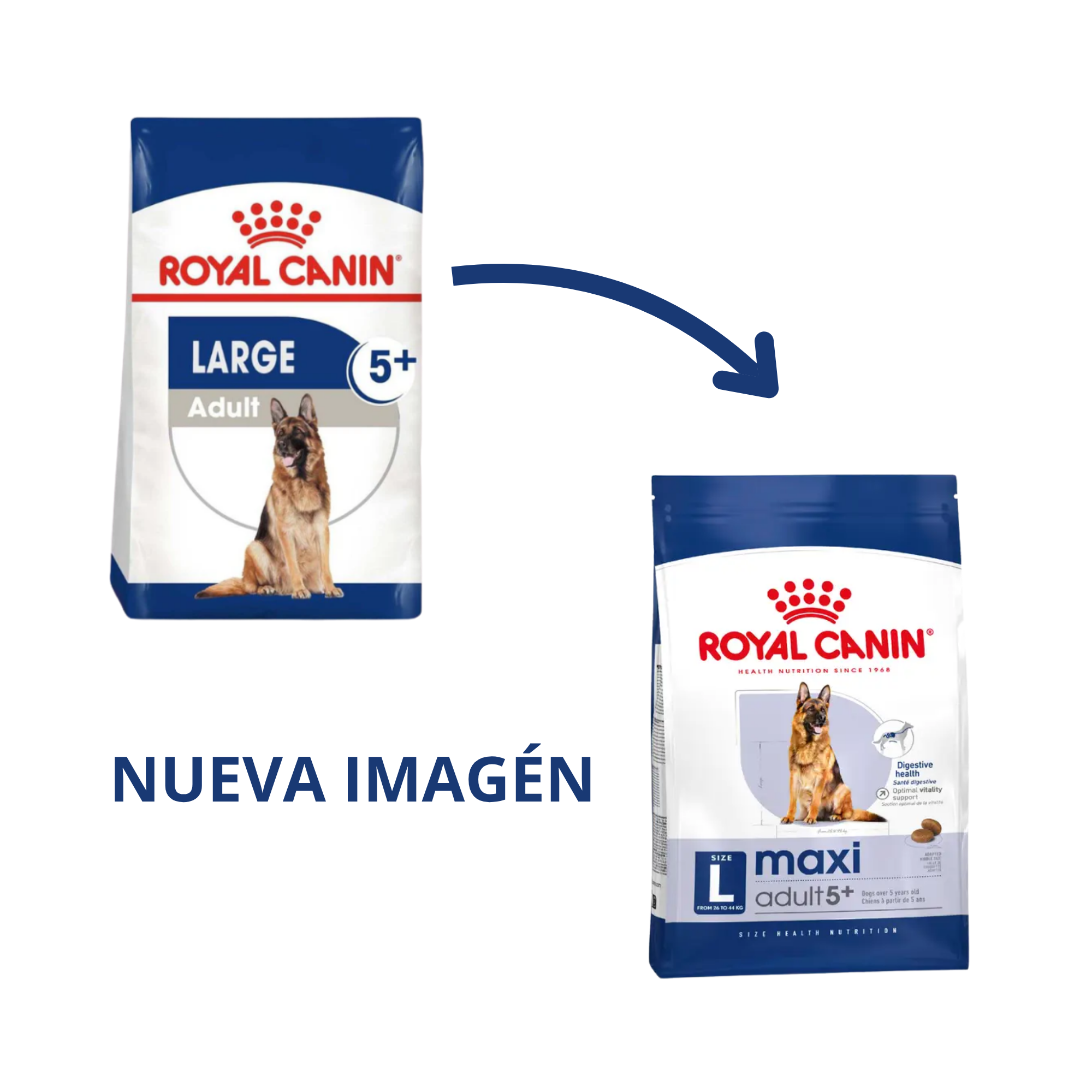 Royal Canin Senior