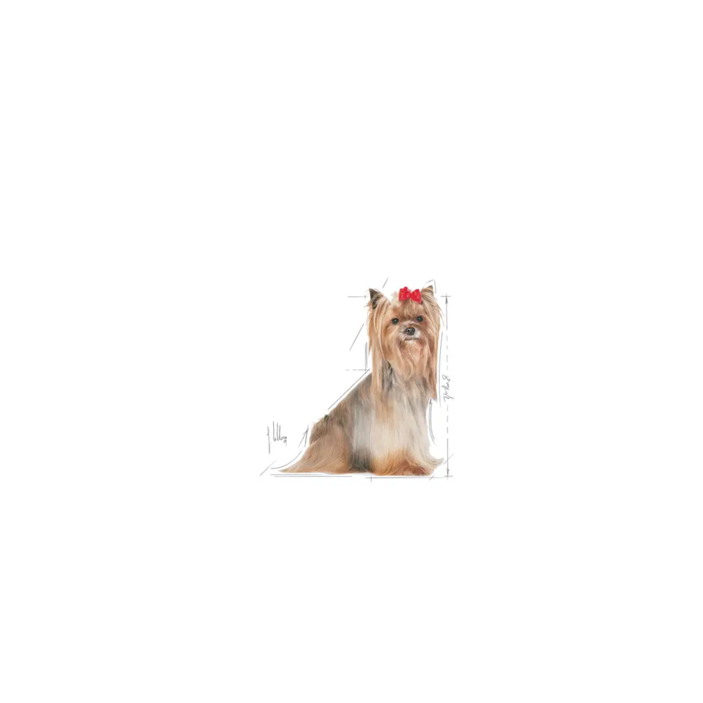 Royal Canin Yorkshire Senior 1.1 Kg
