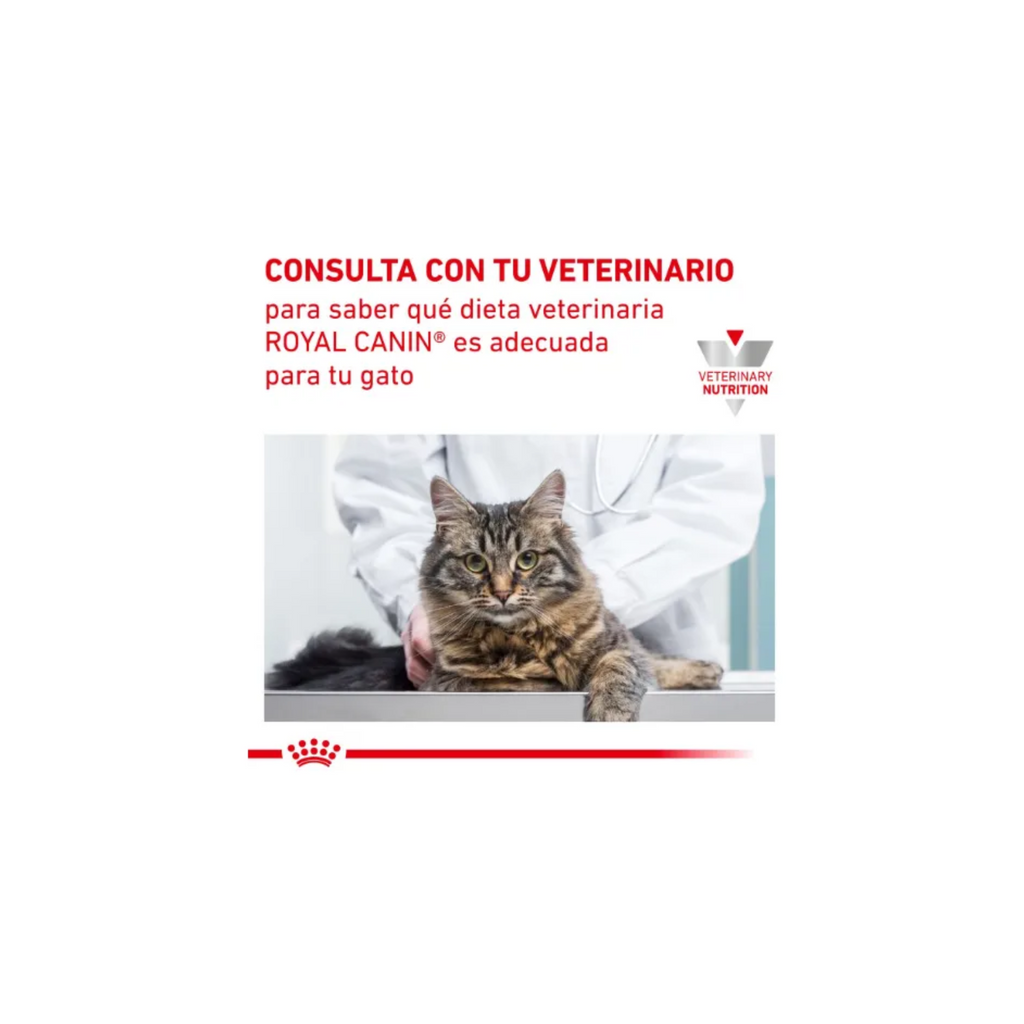 Royal Canin Mature Consult Moderate Calorie Gato Senior 2 kg