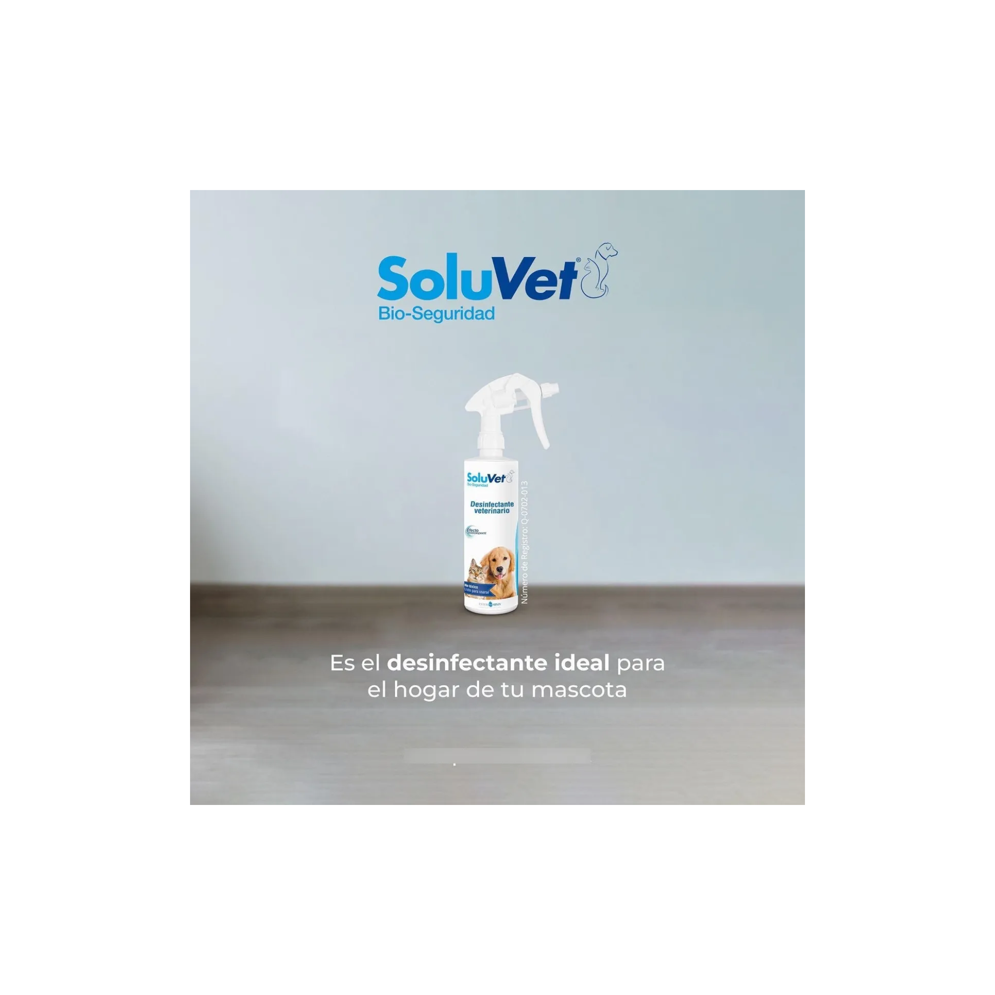 soluvet veterinaria