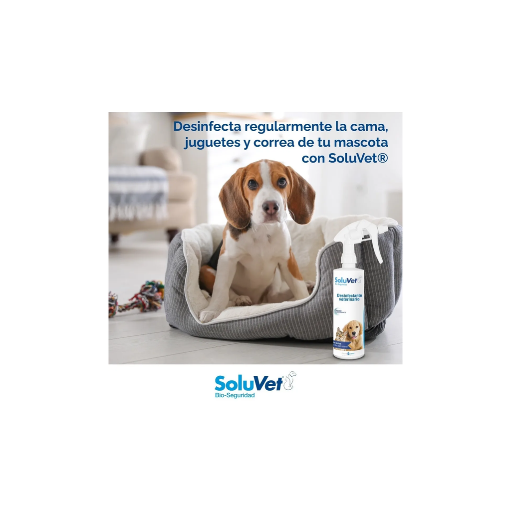 soluvet veterinaria