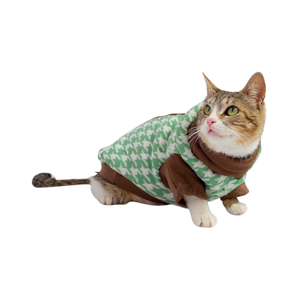 Sueter de Gato