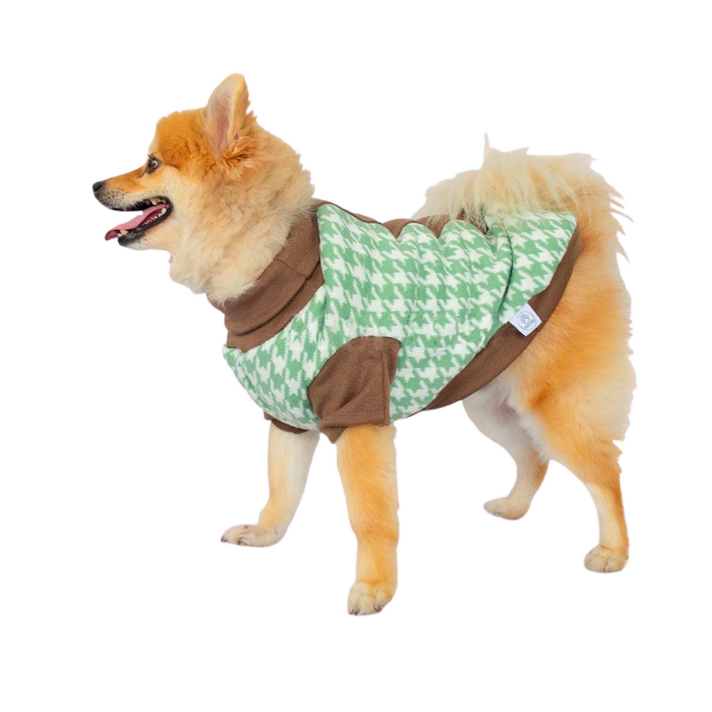 Sueter de Perro 