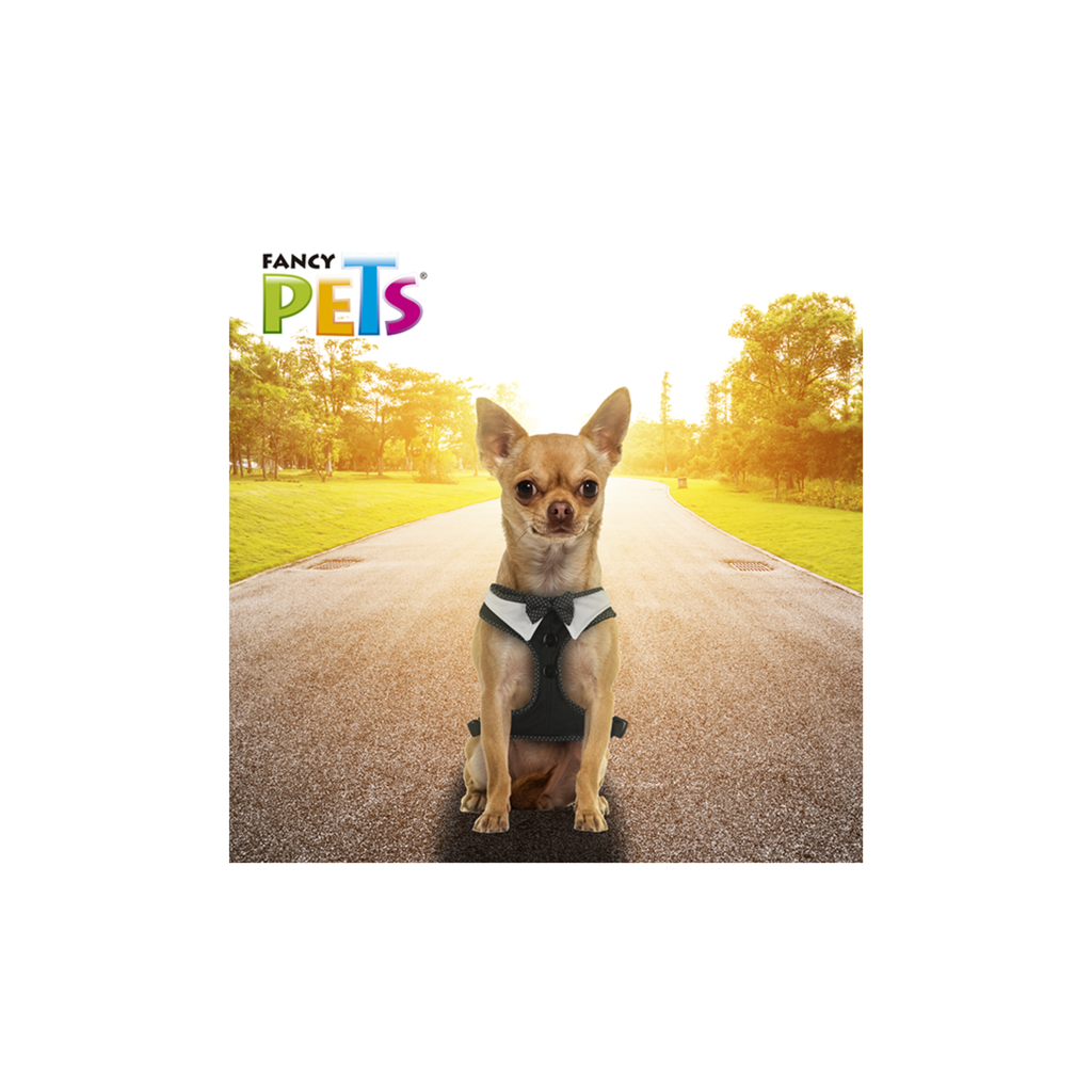 Fancy Pets Arnés Modelaje Corbatin Grande para Perro