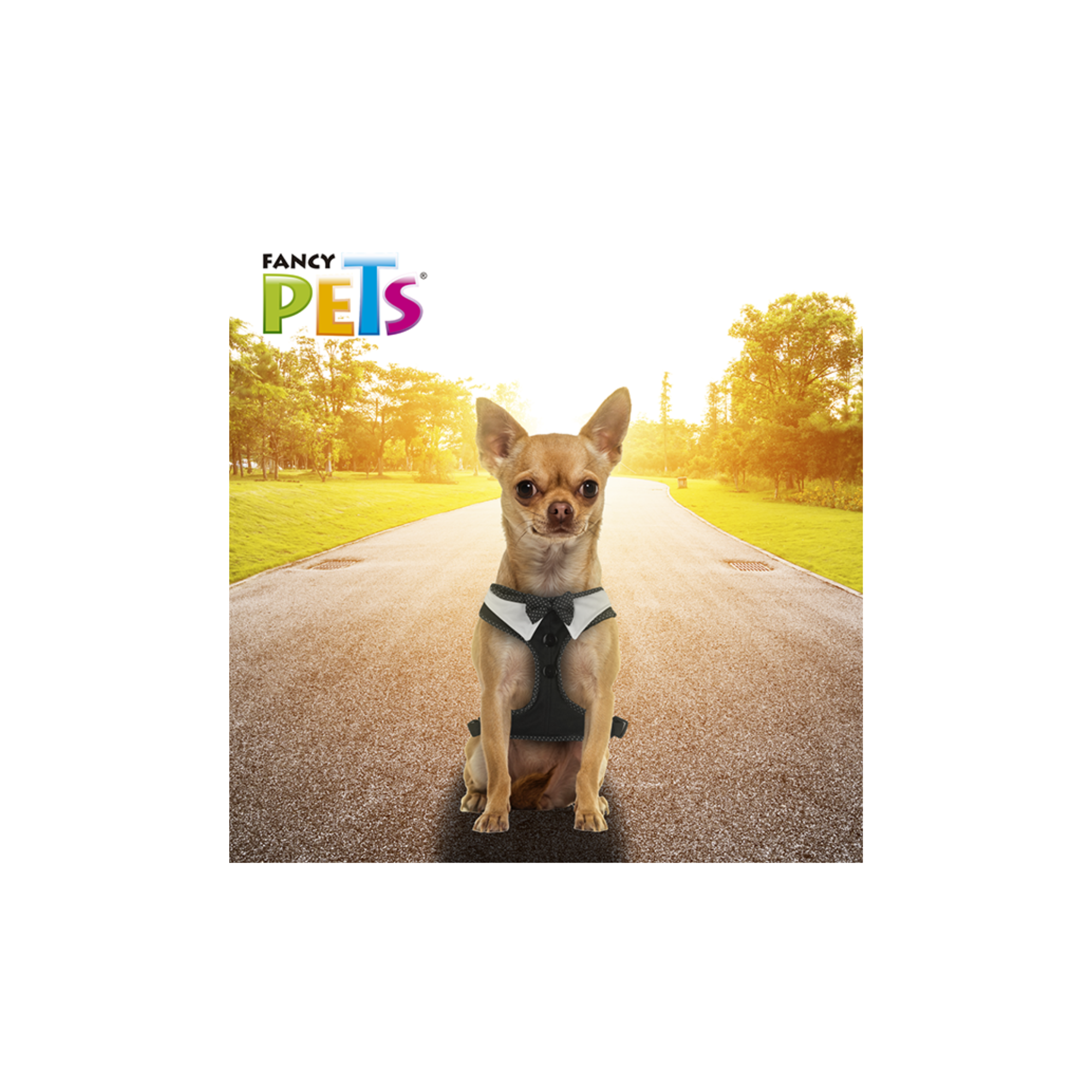 Fancy Pets Arnés Modelaje Corbatin Grande para Perro