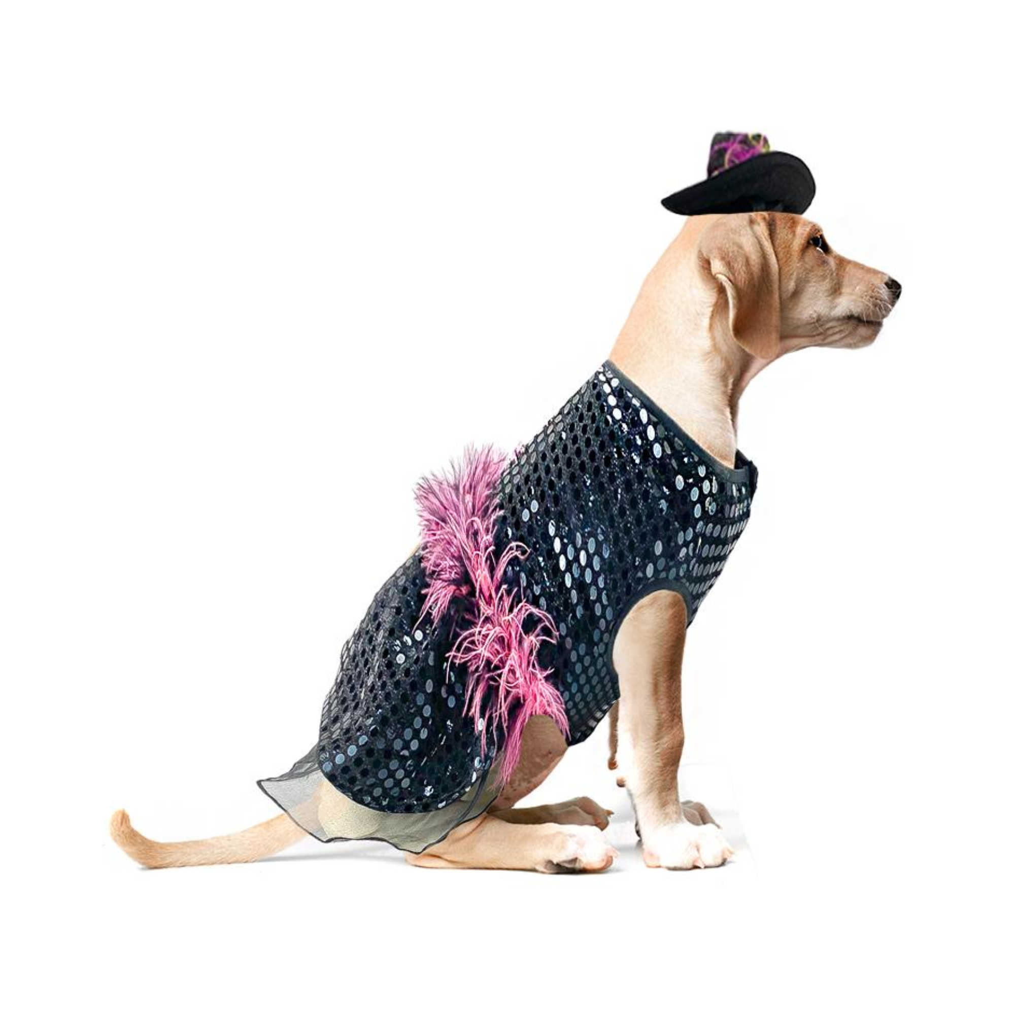 Toutmignon Vestido de Catrina Color Negro con Rosa Talla 3