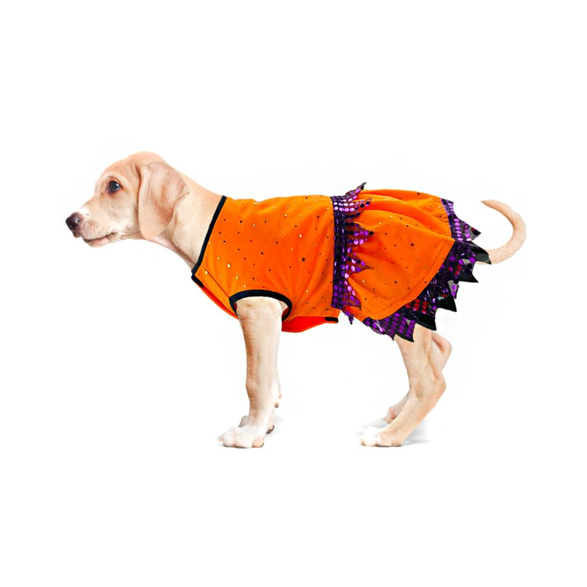 Toutmignon Vestido Color Naranja de Brujita con Lentejuelas Moradas Talla 2