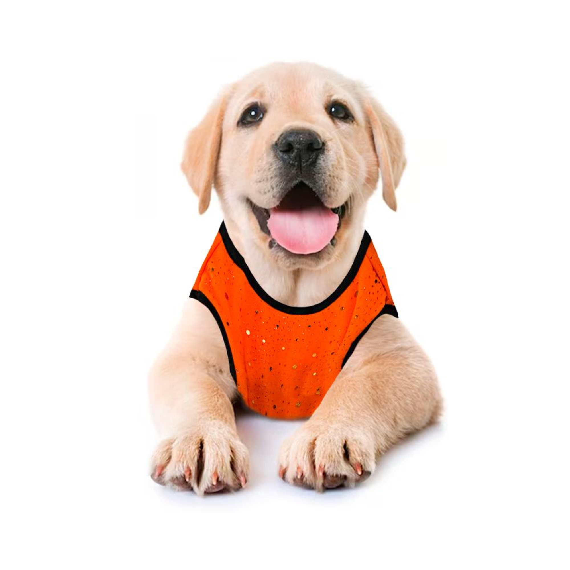 Toutmignon Vestido Color Naranja de Brujita con Lentejuelas Moradas Talla 2