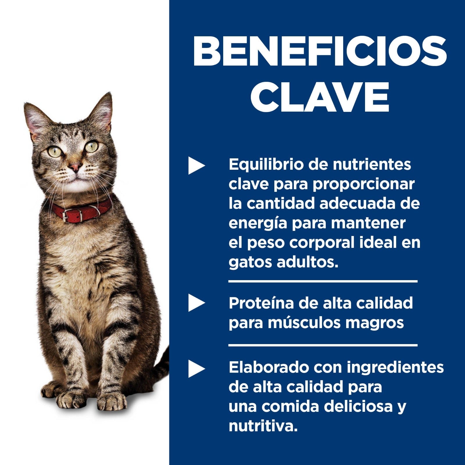 1 Lata Hill's Science Diet Adulto, alimento húmedo para gato adulto receta de salmón, 156g
