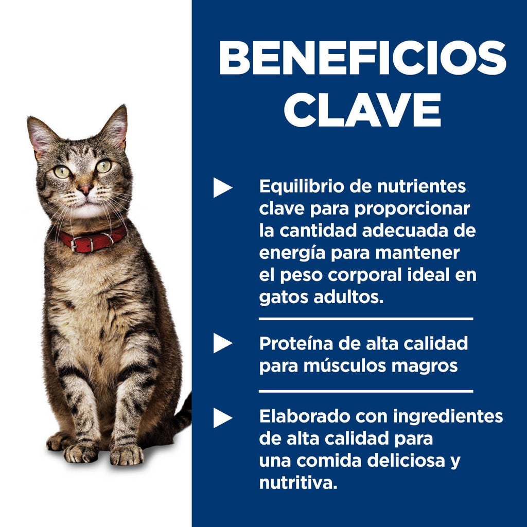 24 Latas Hill's Science Diet Adulto, alimento húmedo para gato adulto receta de salmón, 156g