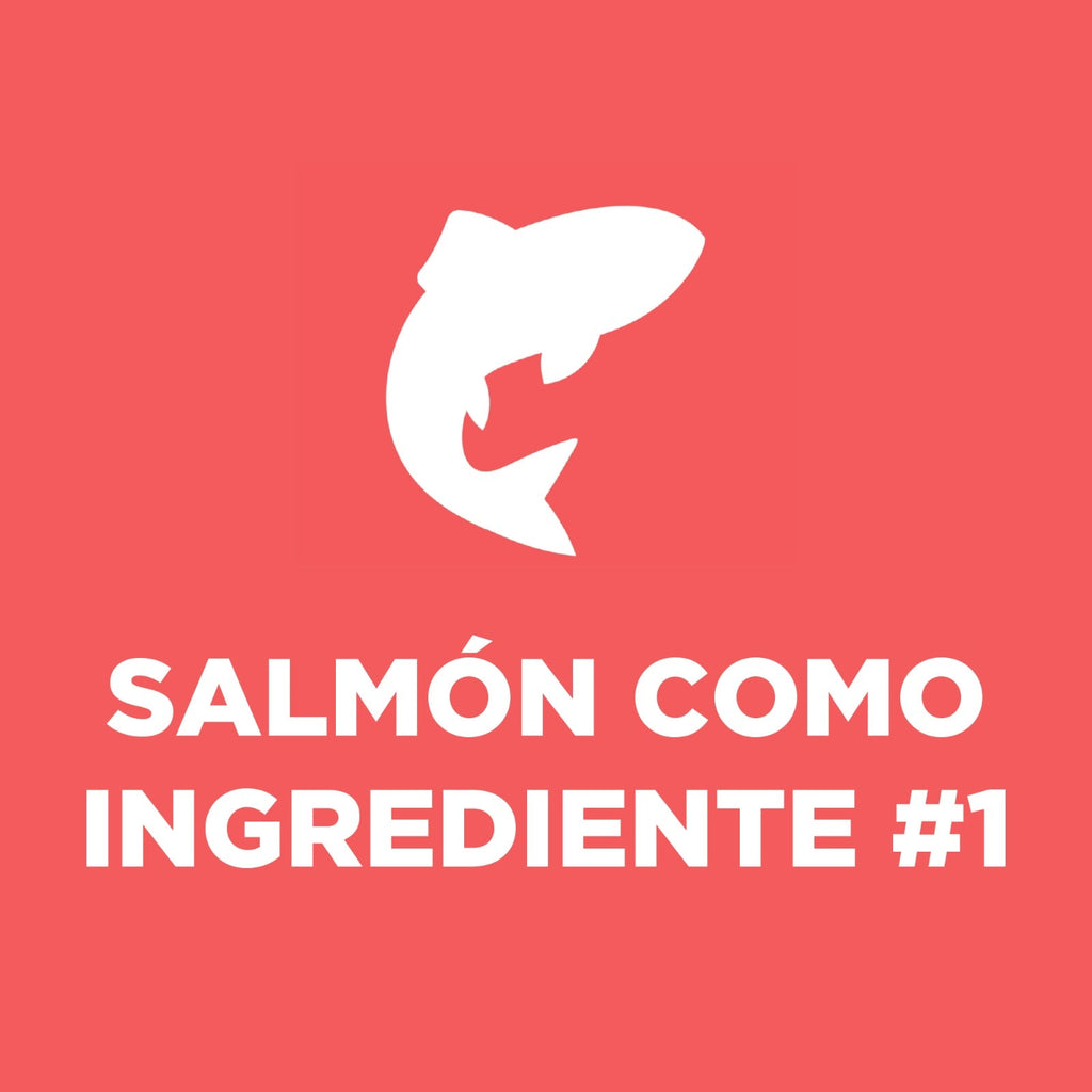 24 Latas Hill's Science Diet Adulto, alimento húmedo para gato adulto receta de salmón, 156g