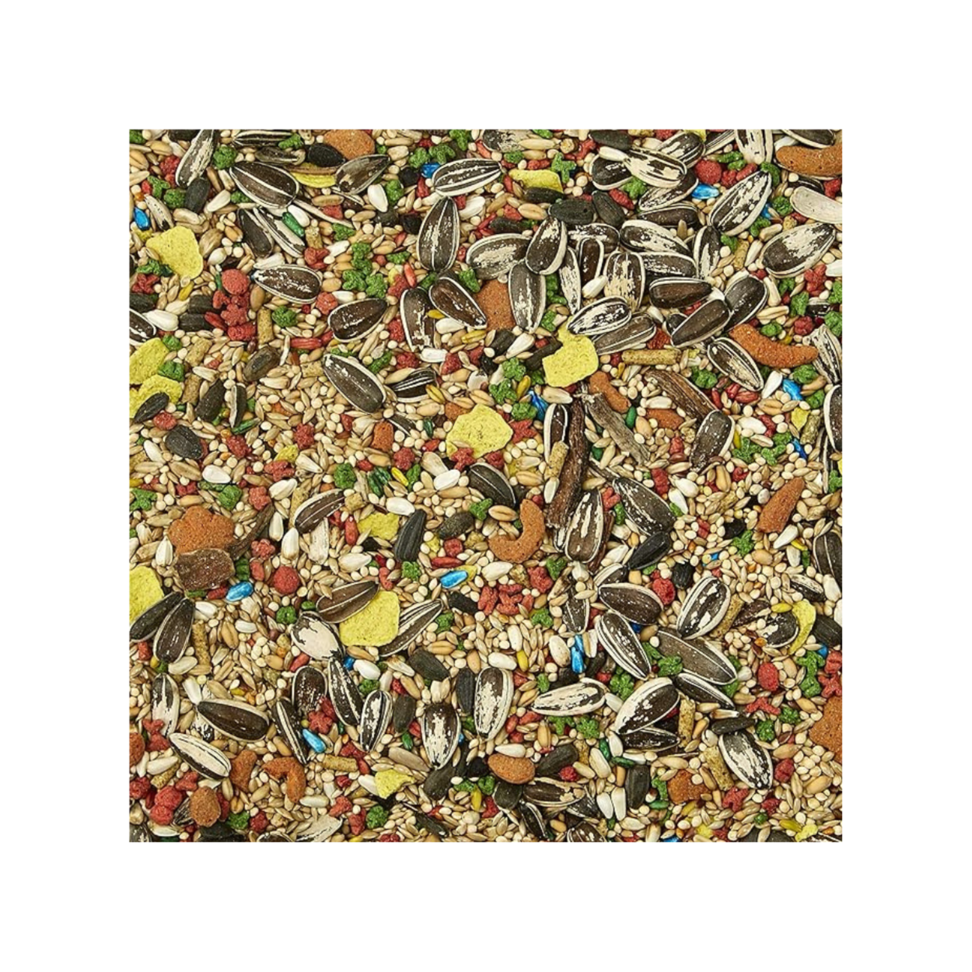 Alimento para Loros