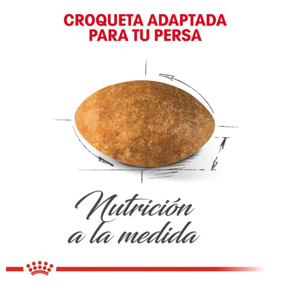 alimento gato persa