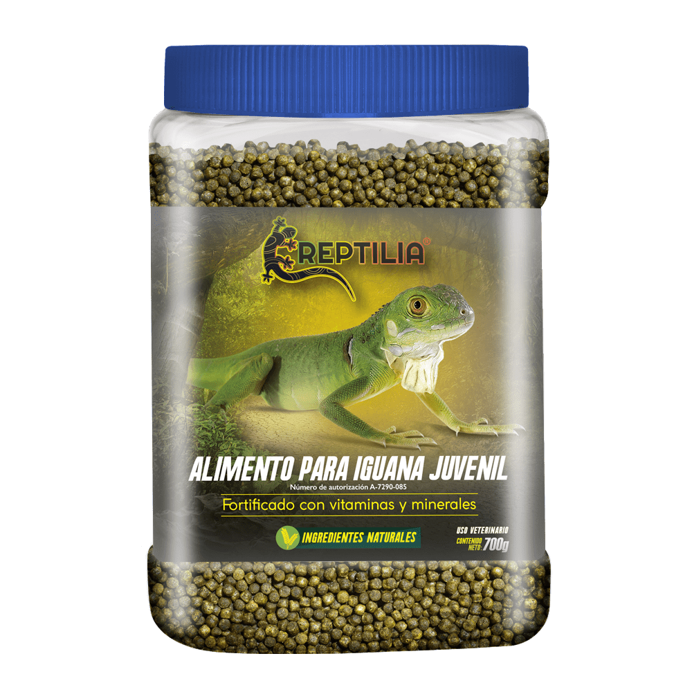 alimento para iguanas