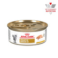 Urinary Royal Canin Gatos