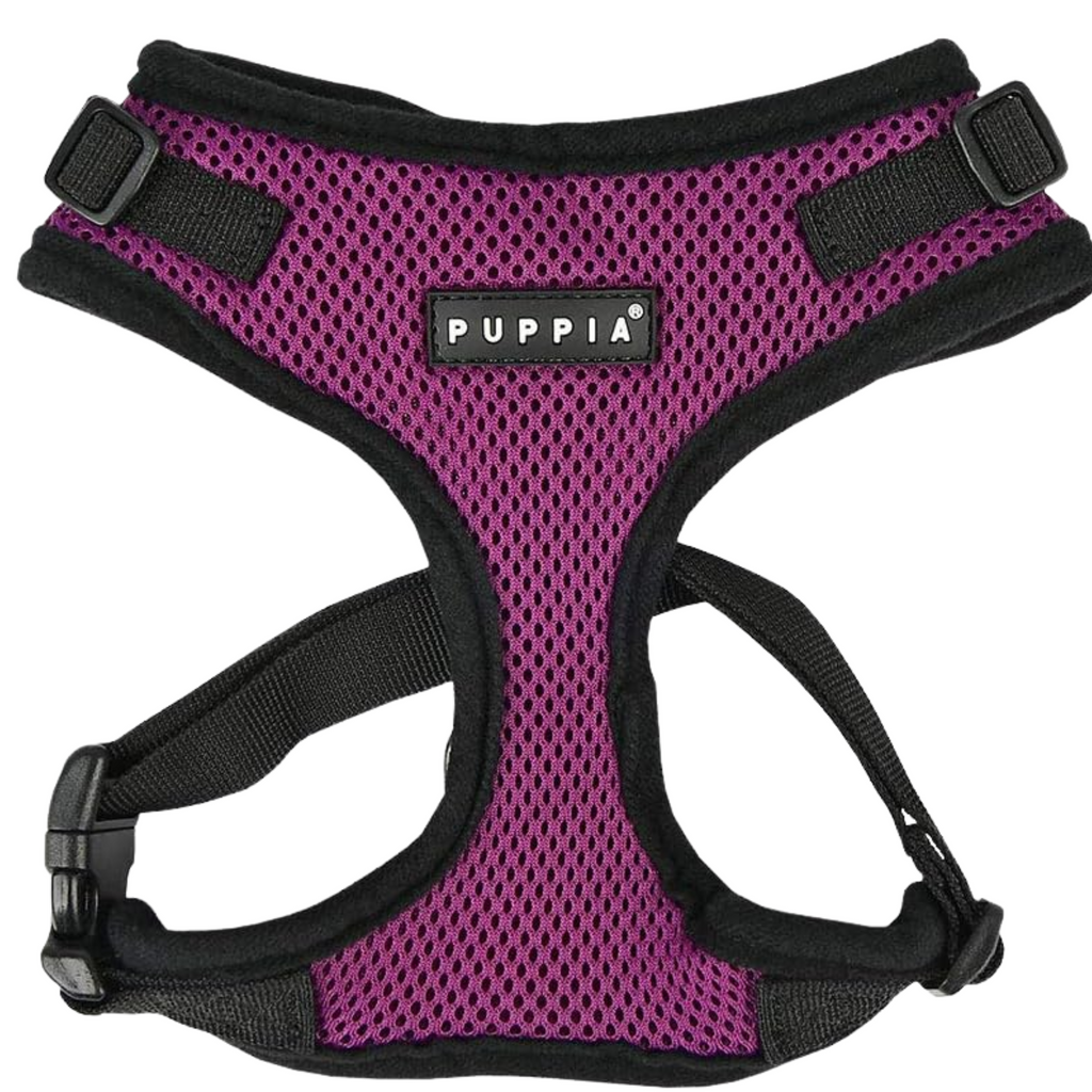 arnes para perros pequeños