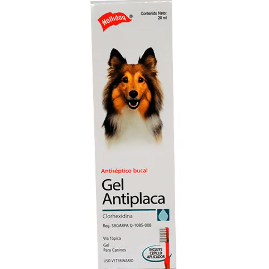Clorhexidina Gel Antiplaca 