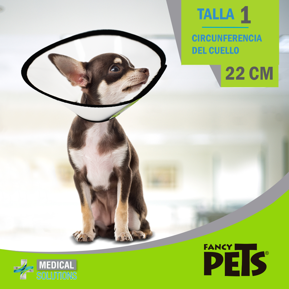 collar isabelino