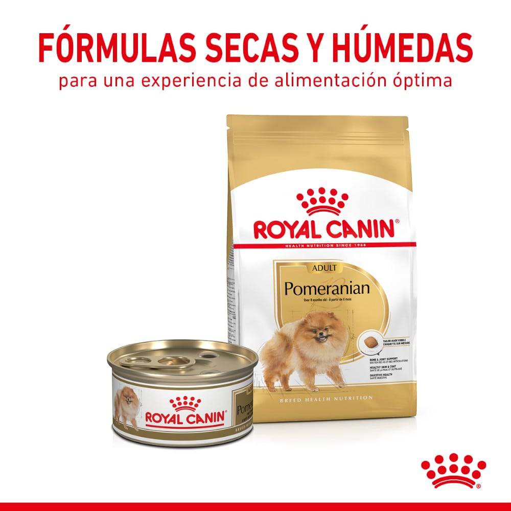 alimento para pomerania