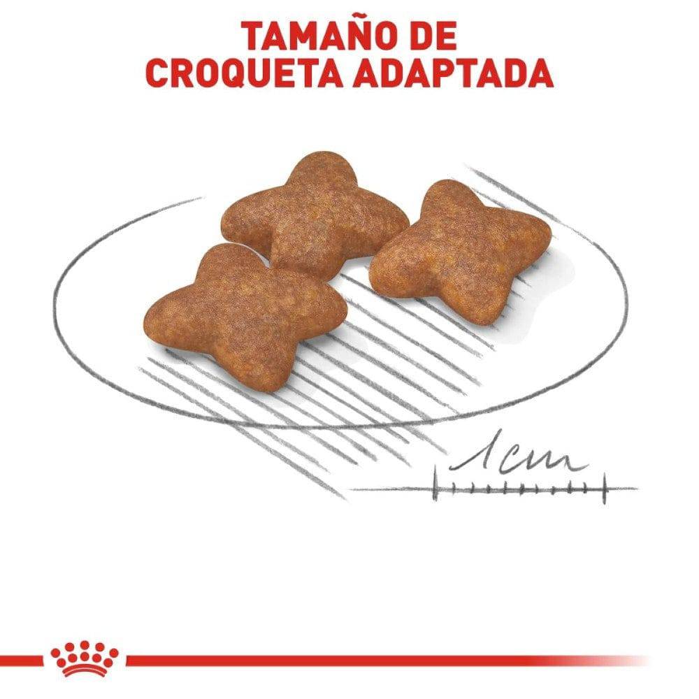 croquetas royal canin adulto raza pequeña