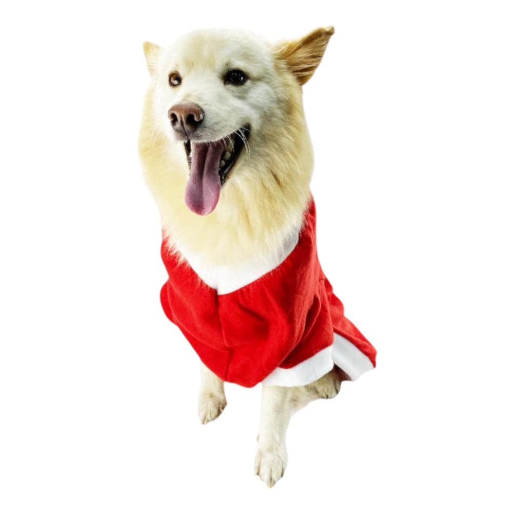Disfraz Navidad Señora Claus Talla L - AniMALL