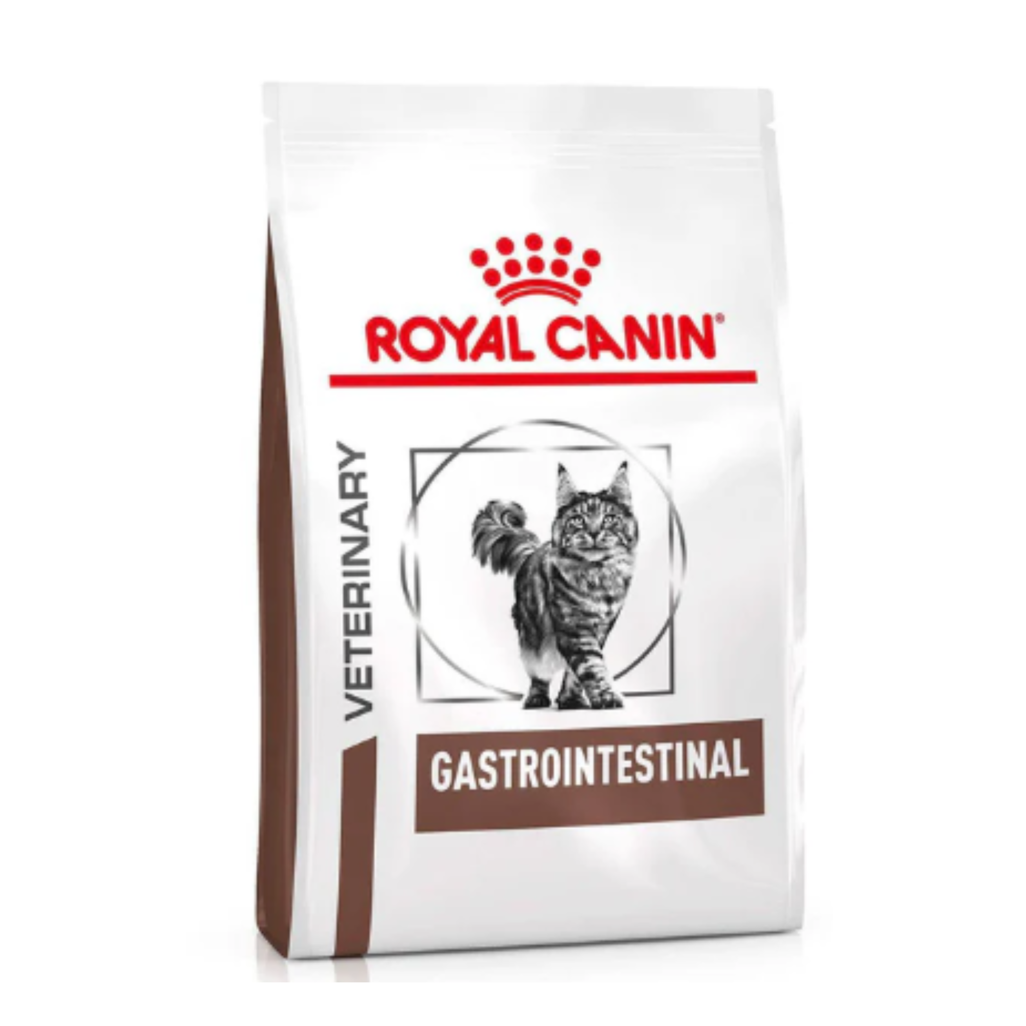 Royal Canin Vet Gastrointestinal Feline 4 Kg, alimento seco para gato con problemas digestivos - AniMALL