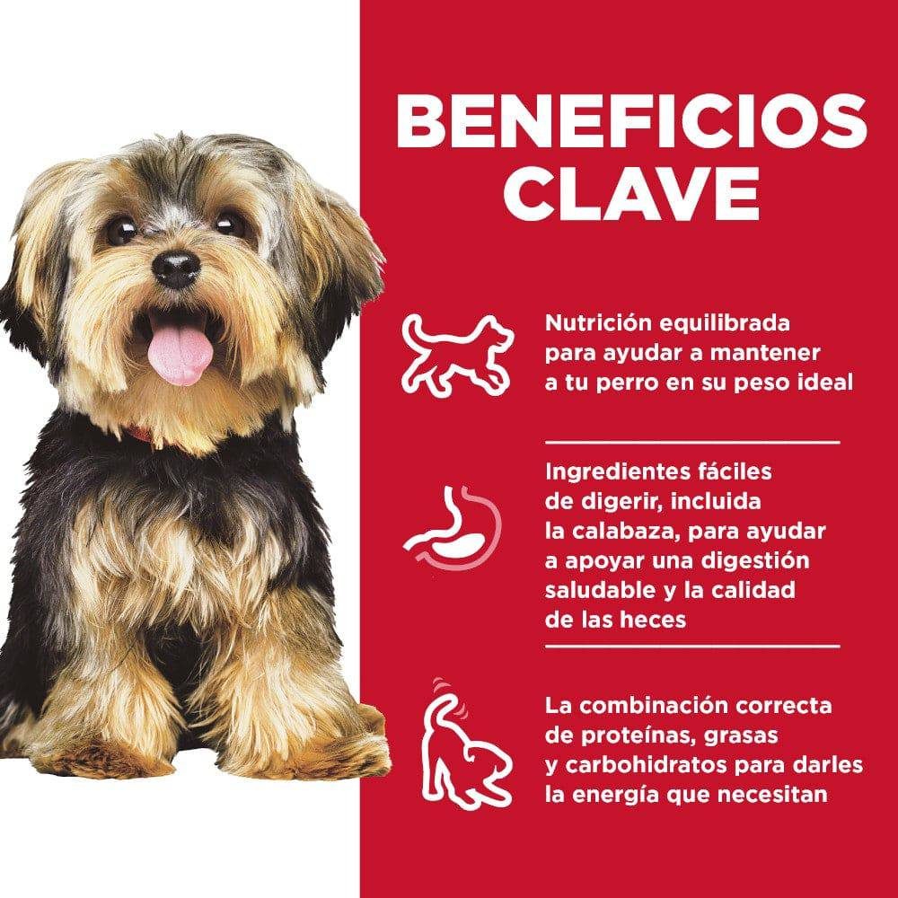 hills alimento perro
