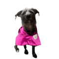 impermeable perro