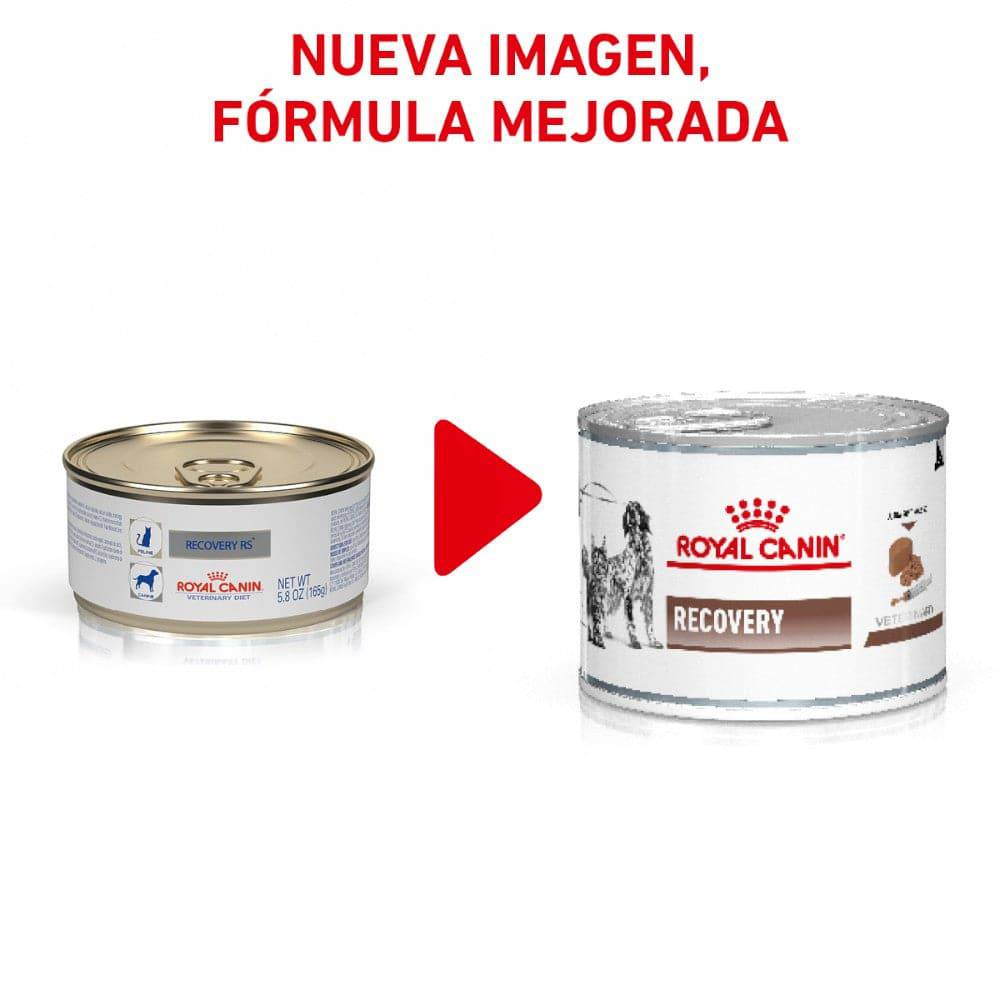 Lata Recovery Royal Canin 