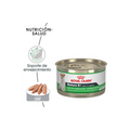 24 latas Royal Canin Wet Mature 150 g, alimento húmedo para perro senior a partir de 8 años