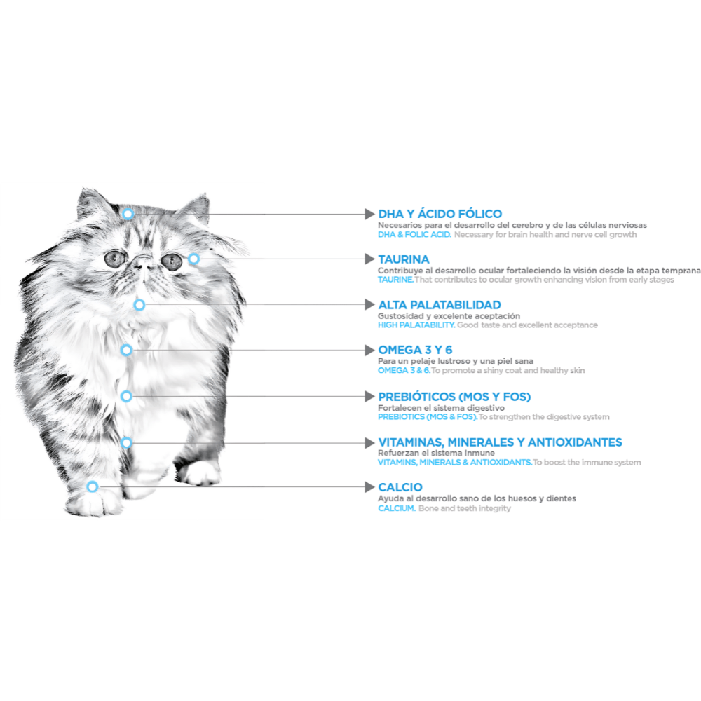 nupec super premium felino kitten