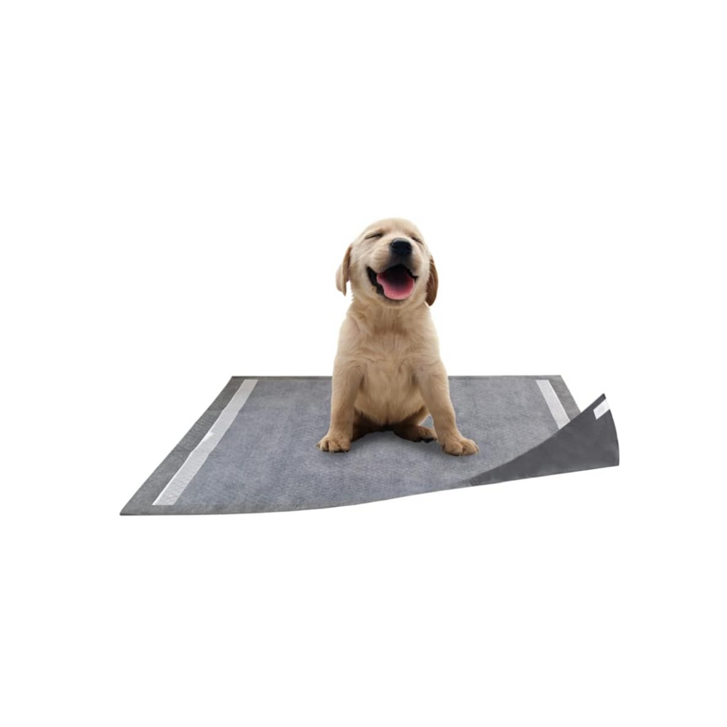 pañales para perros