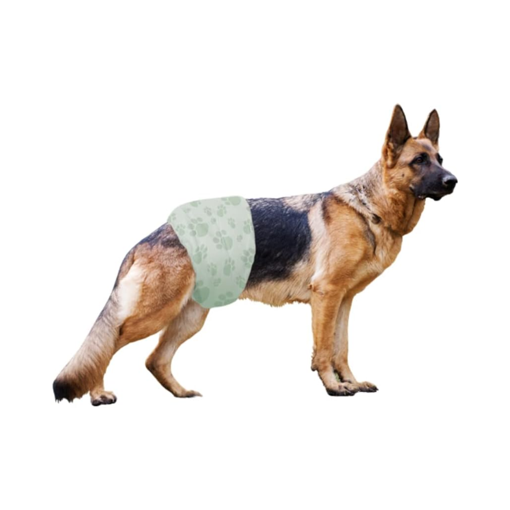 Pañales para perros machos