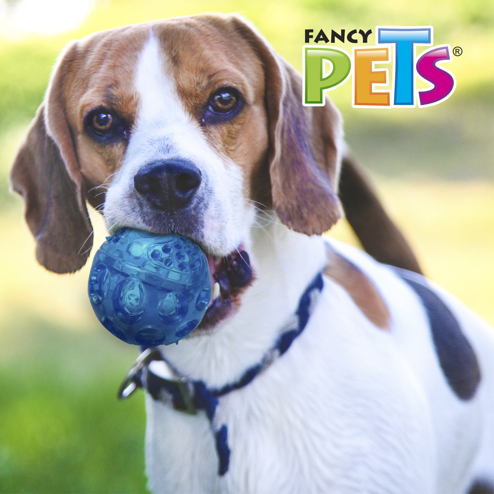 Pelota grande para perros Fancy Pets - AniMALL