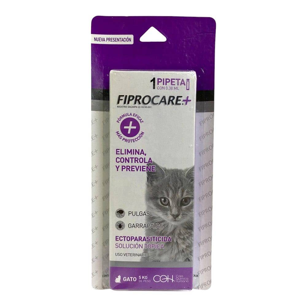 pipeta para gatos