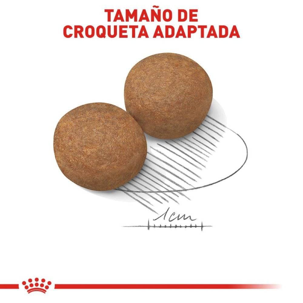 Royal Canin Perro Adulto Maxi Large 13.61 kg - AniMALL