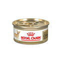 royal canin para chihuahua