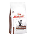 royal canin gastrointestinal gatos