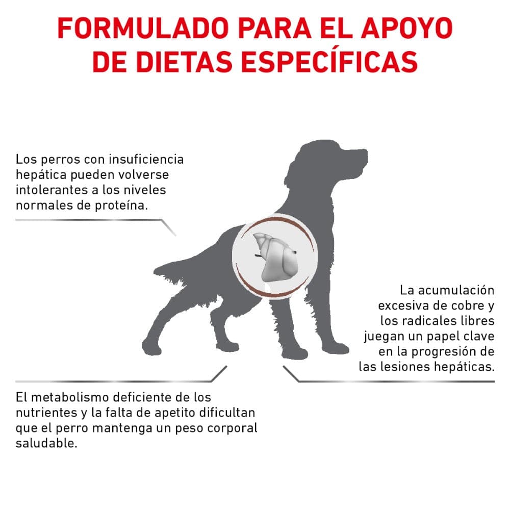 Royal Canin Vet Hepatic 12 Kg - AniMALL